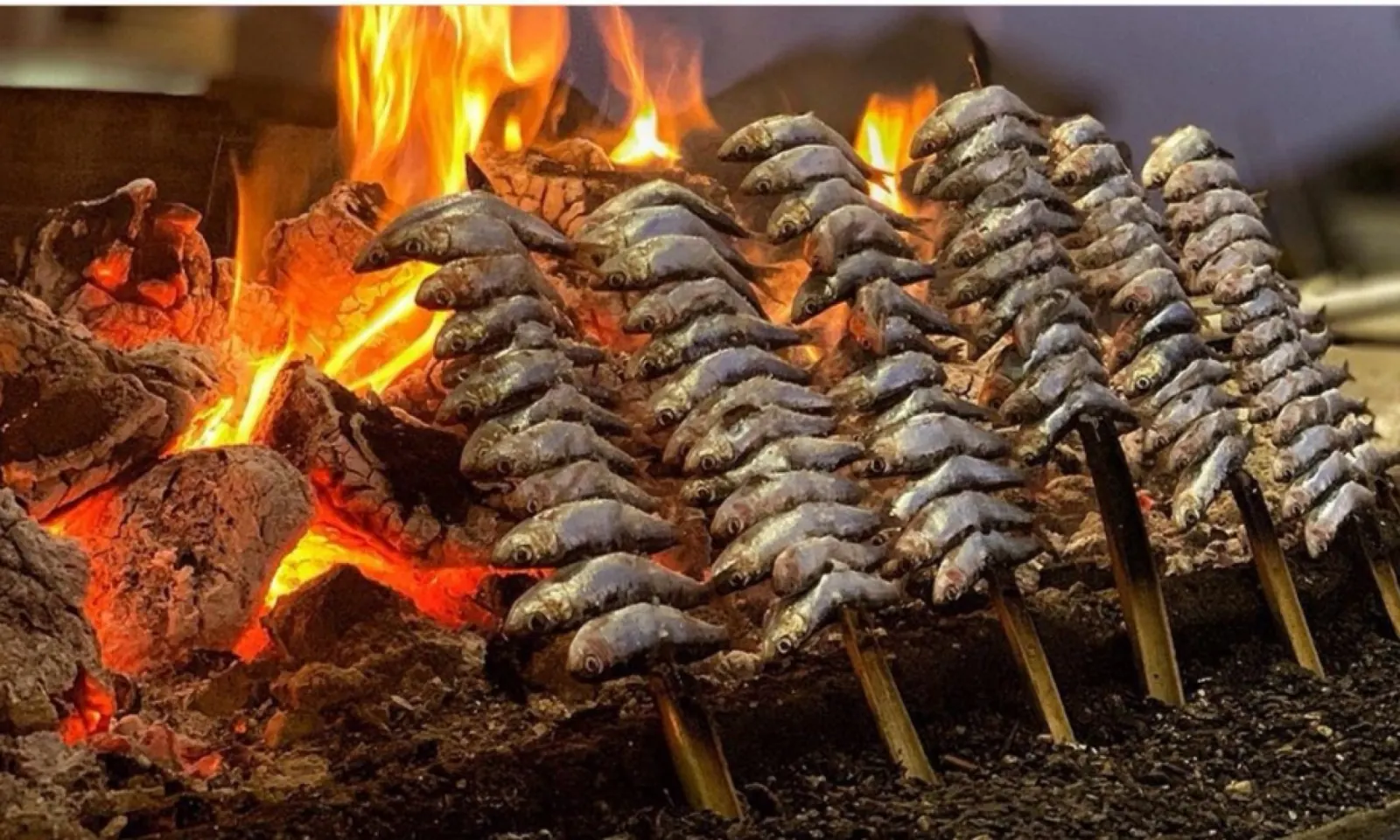 Espetos de sardinas a la brasa